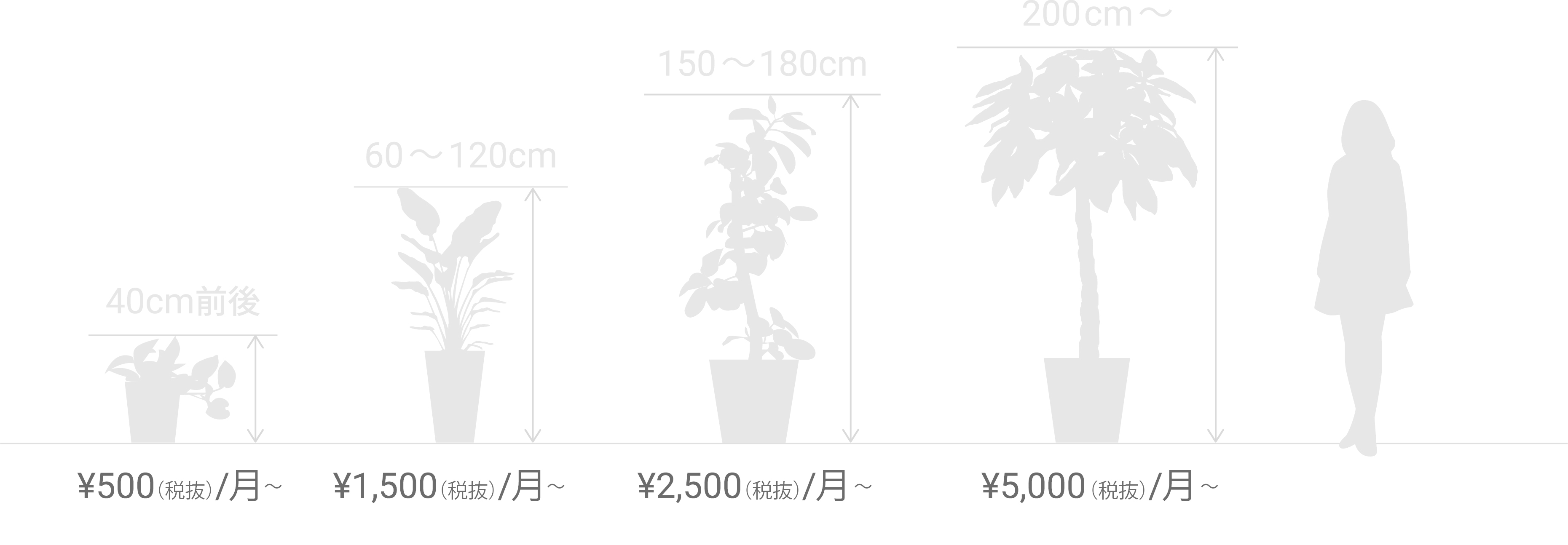 レンタルグリーンの料金目安