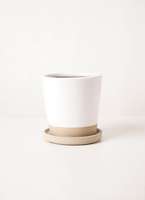 鉢カバー Mat Glaze Terracotta(マット グレーズ テラコッタ) ホワイト 3号