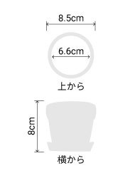 サイズ:外径 8.5cm、内径 6.6cm、高さ 8cm